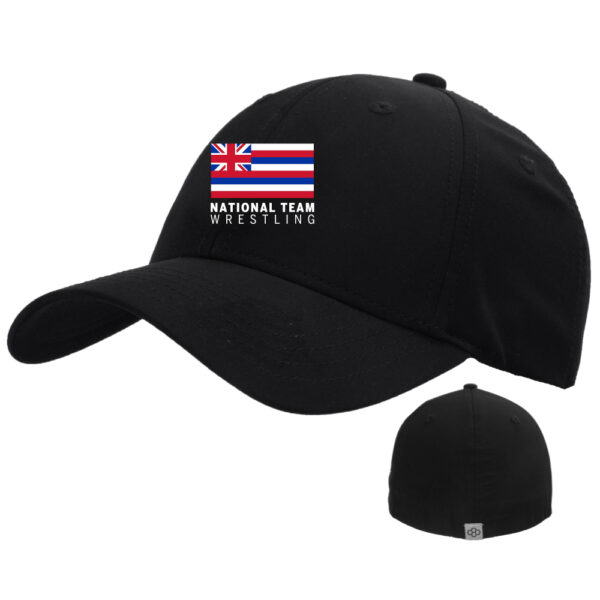 TeamHawaii-TS_0001_fitted hat